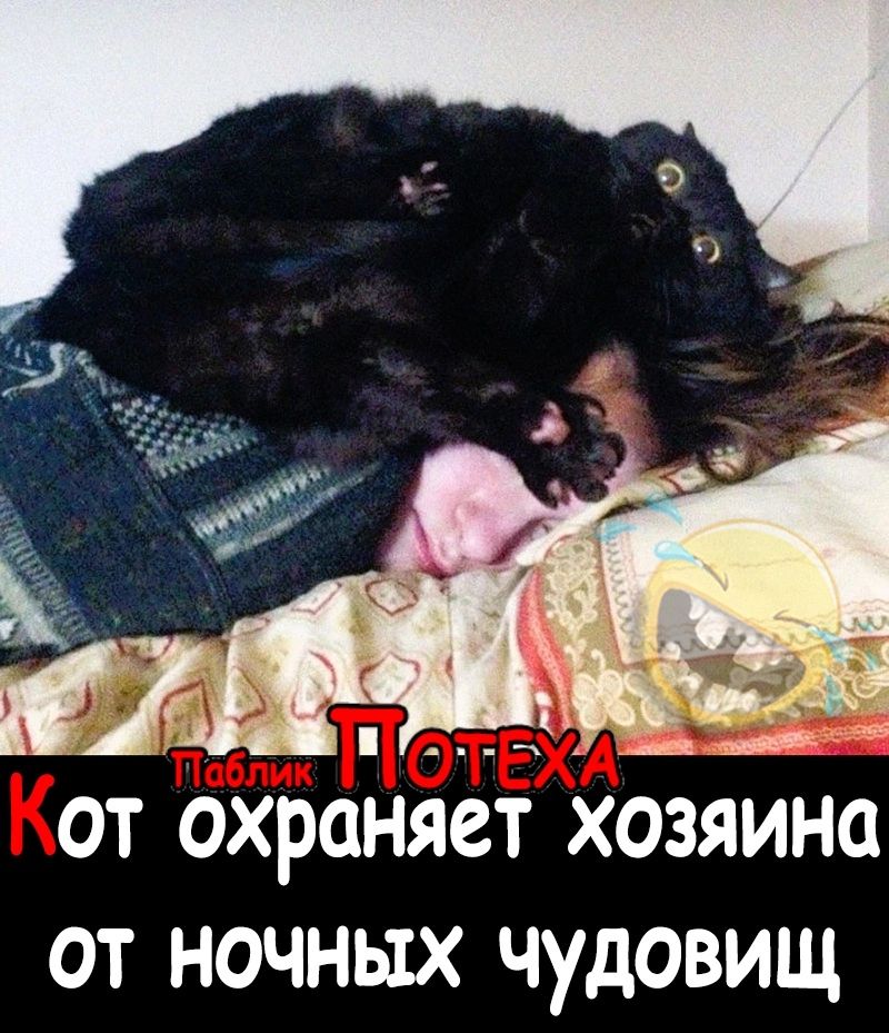 от охраняет хозяина от ночных чудовищ