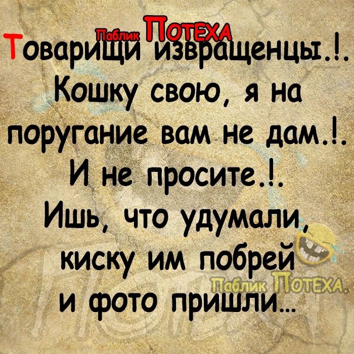 ТоварйЩйтъЖЗЫценцыі Кошку свою я на поругание вам не дам И не просите Ишь что удумали киску им побрейкё и фото приШли