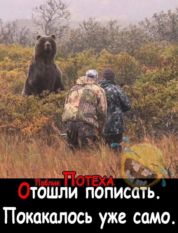 тоШли пописать Покакалось уже само