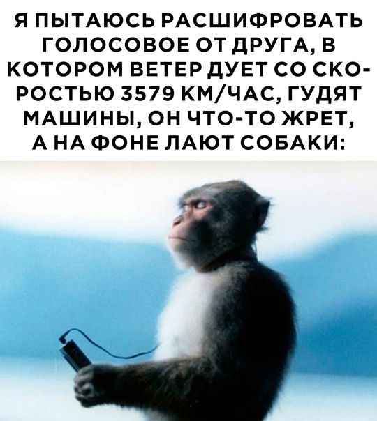 Я ПЫТАЮСЬ РАСШИФРОВАТЬ ГОЛОСОВОЕ ОТ дРУГА В КОТОРОМ ВЕТЕР дУЕТ СО СКО РОСТЬЮ 3579 КМЧАС ГУдЯТ МАШИНЫ ОН ЧТО ТО ЖРЕТ А НА ФОНЕ ЛАЮТ СОБАКИ