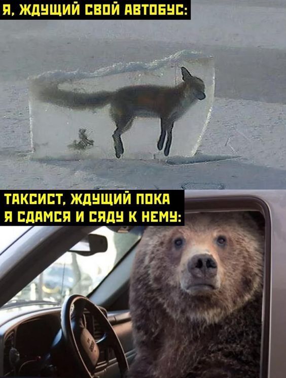 ТПКЕИЕТ ЖдНШИЙ ППКП Я ЕППМСП И ППЛ К НЕМН