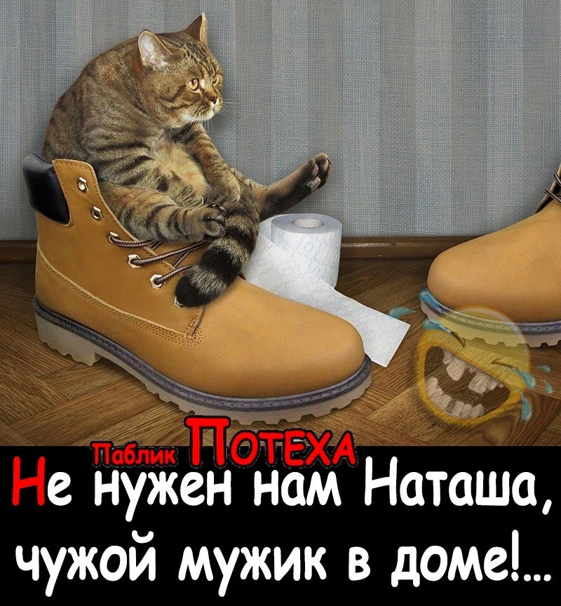 Ё д тотал Не нужен нам Наташа чужой мужик в доме