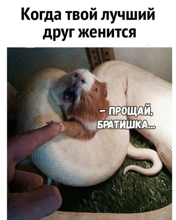 Когда твой лучший друг женится