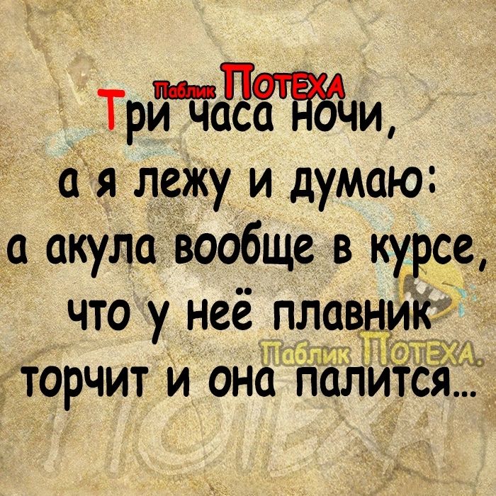 Трйтёёзвэчи ія лежу и думаю а акула вообще в курсе что у неё плавники і торчит и она палиіся