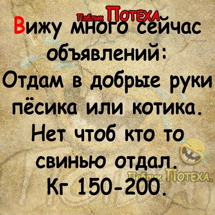 Вижу Рчас объявлений Отдам в добрые руки пёсикаіили котика Нет чтоб кто то СВИНЬЮ ОТДСЩ 53 Кг 150 200