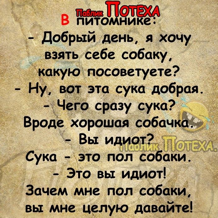 в Добрый день я хочу взять себе собаку кокую посоветуете Ну вот эта сука добрая Него сразу сукад Вроде хорошая собачкёаёу Вы идччщ ЧТ _ ттт Сука это пол собаки Это вы идиот Зачем мне пол собаки вы мне целую давайте