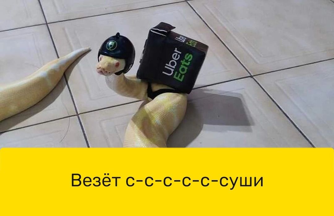 Везёт ссссссуши