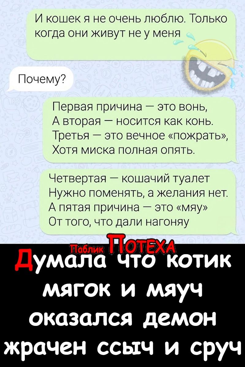 И кошек я не очень ПЮбПЮ Только когда они живут не у меня Почему7 Первая причина это вонь А вторая носится как конь Третья ато вечное пожрать Хотя миска полная опять Четвертая кошачий туалет Нужно поменять а желания нет А пятая причина это мну От того что дапи нагоняу пам ПОТЁХА Думала что котик мягок и мяуч оказался демон жрачен ссыч и сруч