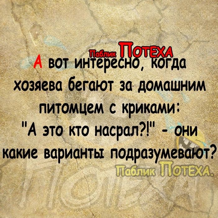 _ А вот индда хозяева бегают за домашним питоМЦем с криками А это кто насрал они какие варианты подразумевают дг Щ