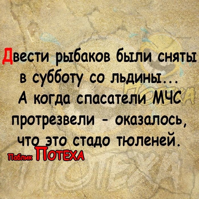 Двести рыбцков были сняты в Субботу со льдины _ А когда спасатели МЧСЁАЁ протрезвели оказалось чт то стадо тюленей и