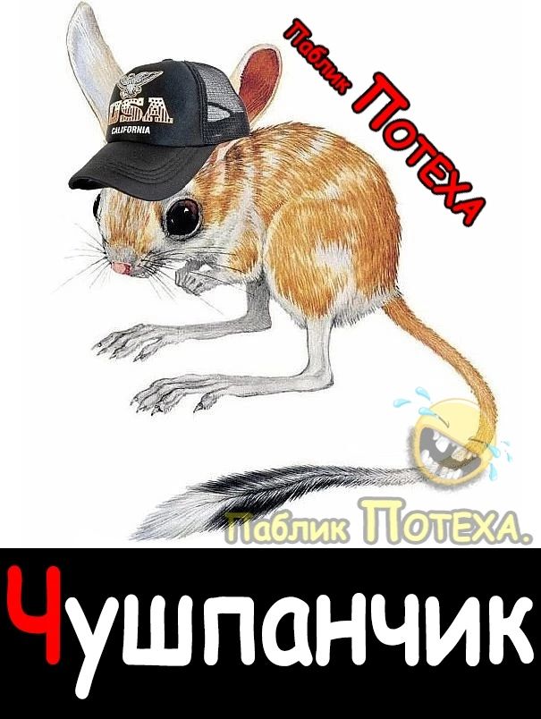 Чушпанчик