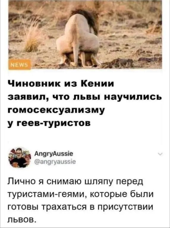 Чиновник из Кении заявил что львы научились гомосексуализму у геев туристо АгщгуАиээіе апшуаиэые Лично я снимаю шляпу перед туристами геями которые были готовы трахаться в присутствии львов
