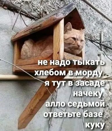 а 4 3 _ У За й Ё н аа об и бом д