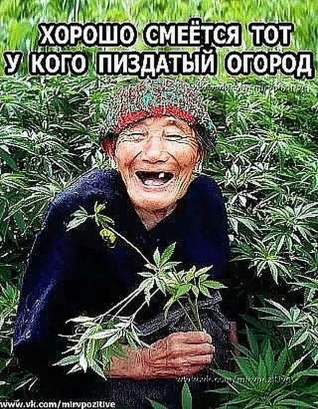 Пп хоЁошо овтмтиппче