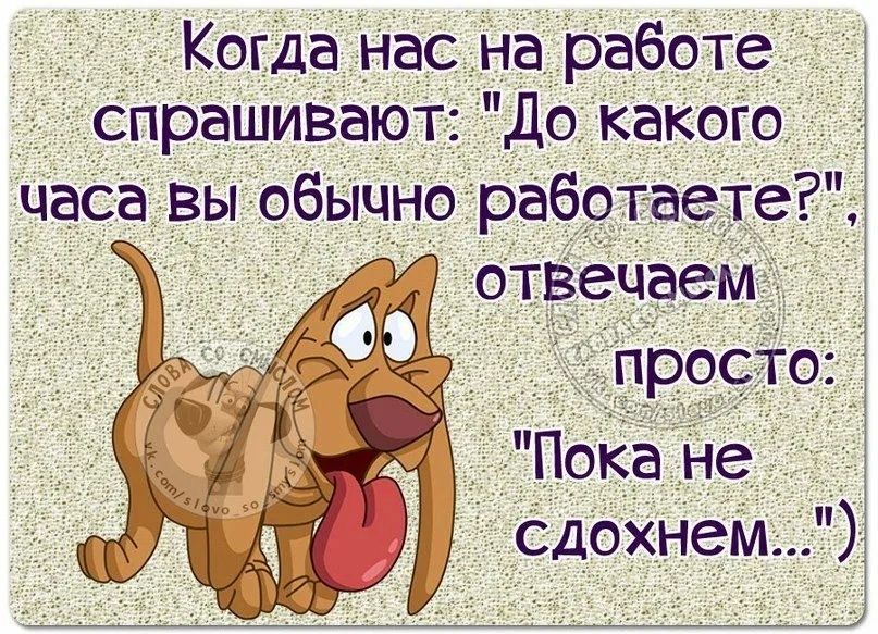 Когда нас на работе спрашиввют До какого часа вы обычно работаетеі отвечаем _ просто ПоКа не сдохнем