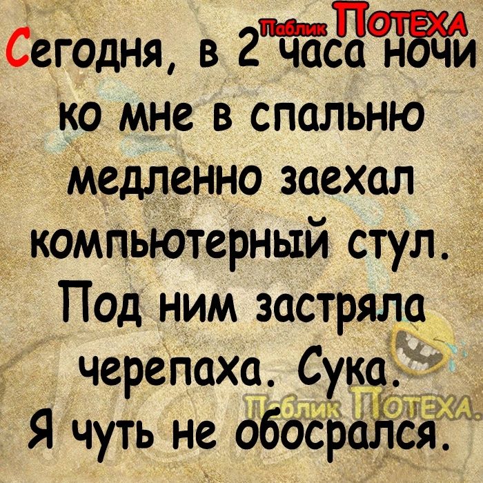 Сегодня в гтдт ко мне в спальню Медленно заехал компьЮтерный стул Под ним застрядц черепахауксЁ Я чуть не дбоёЪёЁЁЁщ