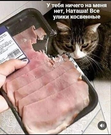 тебя ничего на меня нет Наташа Все улики косвенные