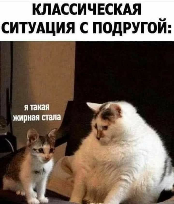 КЛАССИЧЕСКАЯ _ СИТУАЦИЯ С ПОДРУГОИ