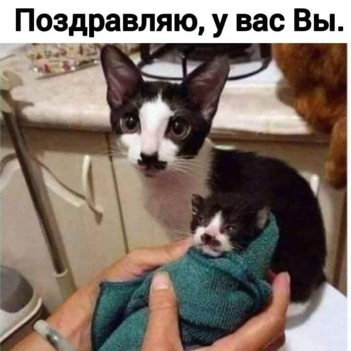 Поздравляю у вас Вы