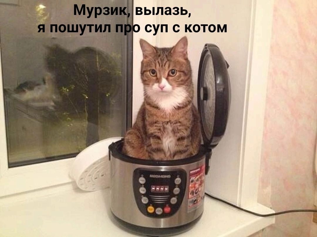 вылазь СУП КОТОМ