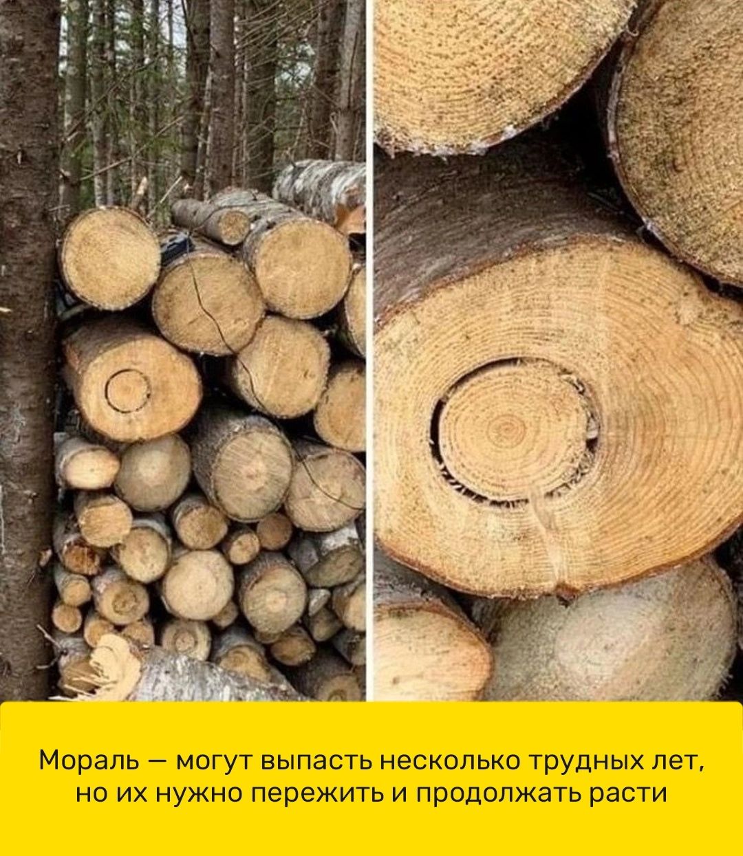 Мораль мпгут выпасть нескспько Трудных лет но их нужно пережить и продолжать расти