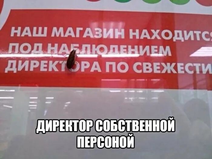 яхгпшршы_ ЕННОЙ