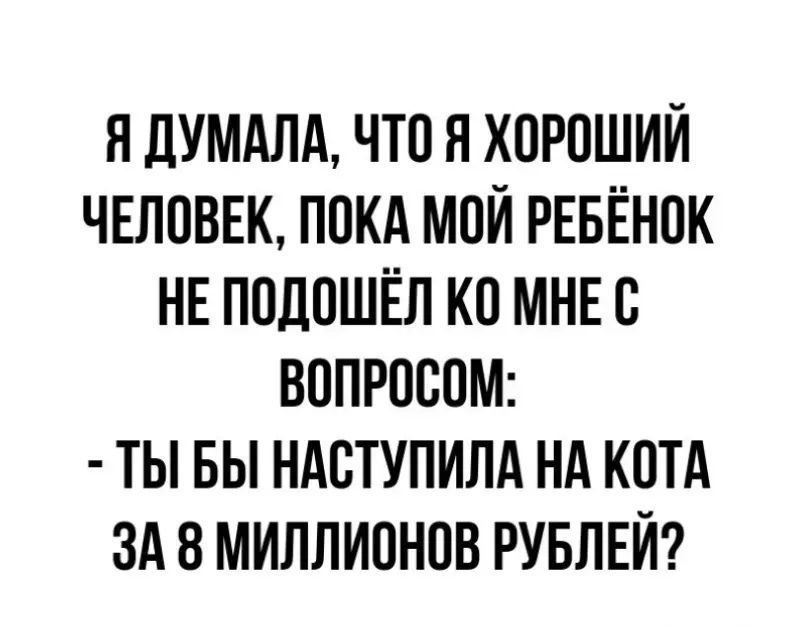 Я дУМАЛА ЧТО Я ХОРОШИЙ ЧЕЛОВЕК ПОКА МОЙ РЕБЁНОК НЕ ПОДОШЁЛ КО МНЕ В ВОПРОООМ ТЫ БЫ НАВТУПИЛА НА КОТА ЗА 8 МИЛЛИОНОВ РУБЛЕЙ