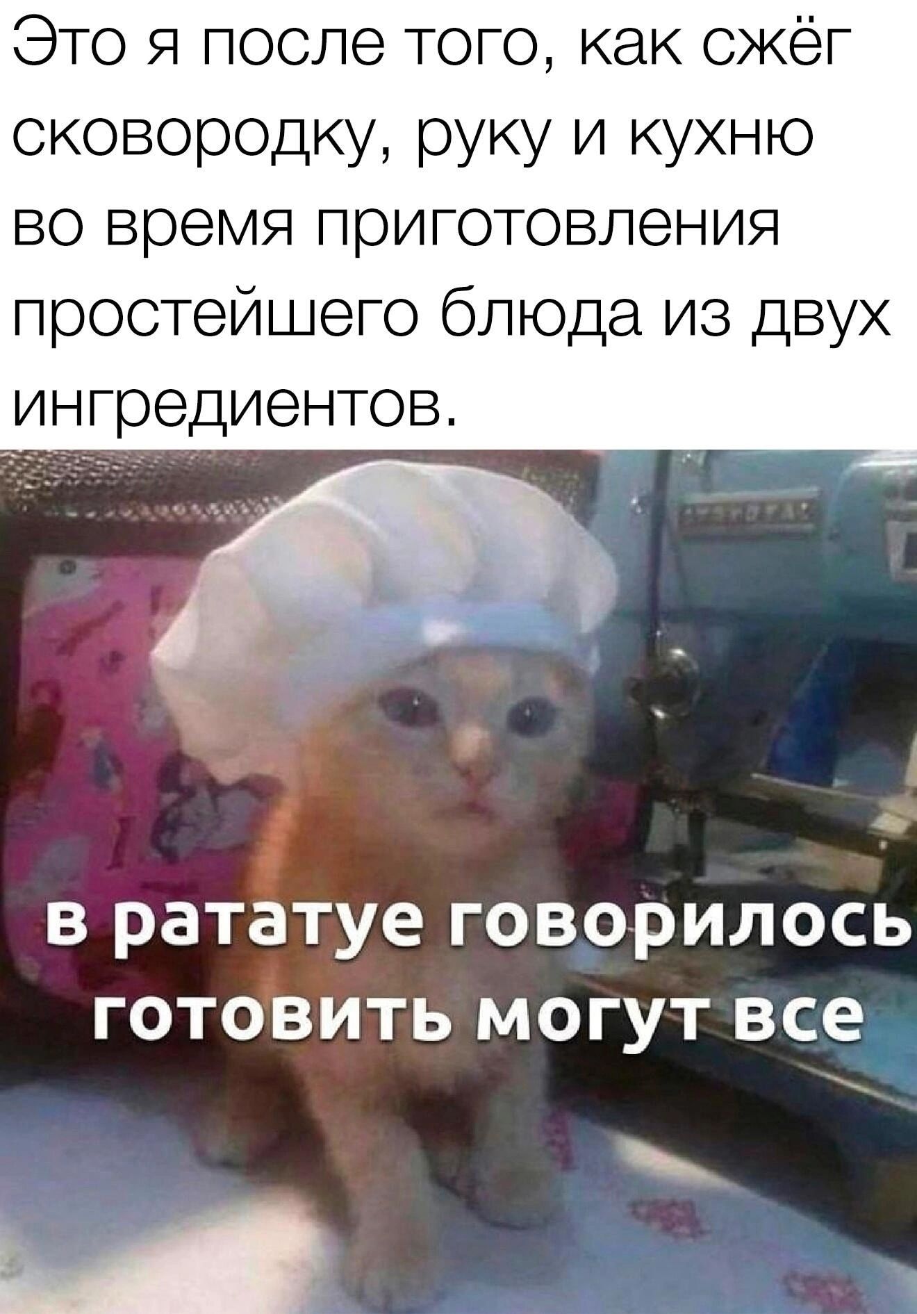 Это я после того как скёг сковородку руку и кухню ВО время ПЭИГОТОВЛЭНИЯ простейшего блюда из двух ингредиентов в рататуе говорилось готовить могут все