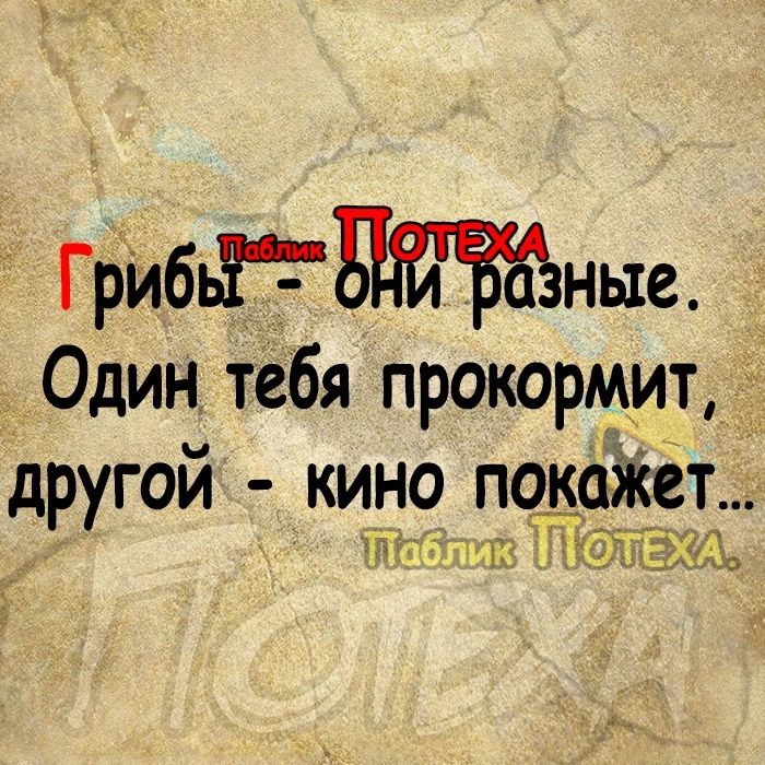 Грибтныа Один тебя прокормит другой кино покажет аь