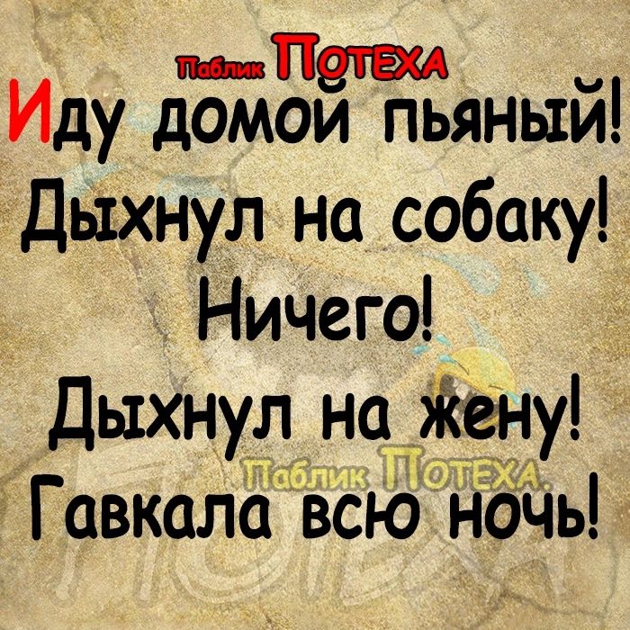 п Петю Иду домои пьяный Дыхнул на собаку Ничего Дыхнул на йену Гавкала ёсю ночь