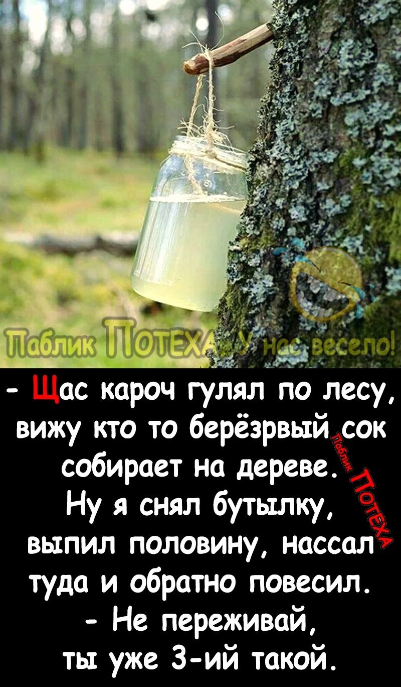 АЧ ас кароч гулял по лесу вижу кто то берёзрвый сок собирает на дереве Ну я снял бутылку выпил половину нцссал туда и обратно повесил Не переживай ты уже З ий такой