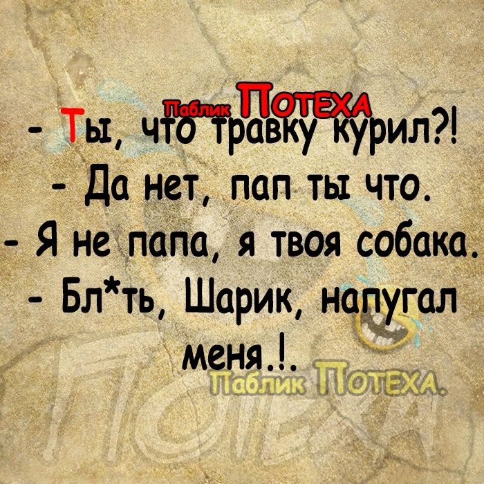 Ты чЁЪЧЙЙрил Да нет пап ты что Я не папа я твоя собака Бл ть Шарик нащгал меня