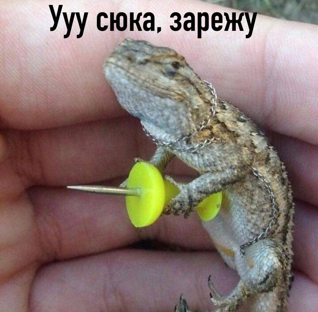 Ууу сюа зареж