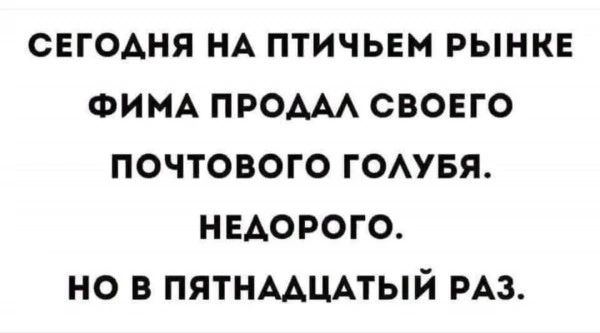 сегодня НА птичьвм рынка ФИМА про свовго почтового гомвя недорого но в ПЯТНААЦАТЫЙ РАЗ