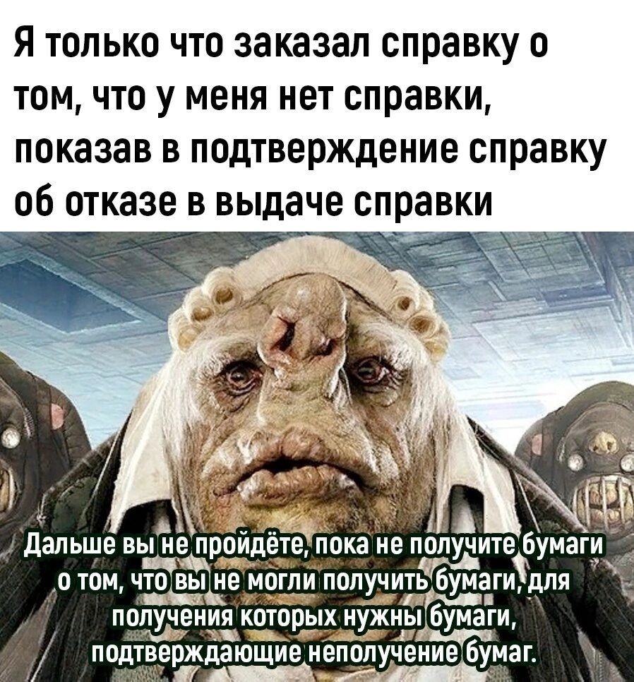 Я только что заказал справку о томчто у меня нет справки показав в подтверждение справку об отказе в выдаче справки А А дальше вщцроипёте пока не получите6умаги о том что вы _ле доши получить бумаги для получения которых нужны бумаги подтверждающие неполучение бумаг ч