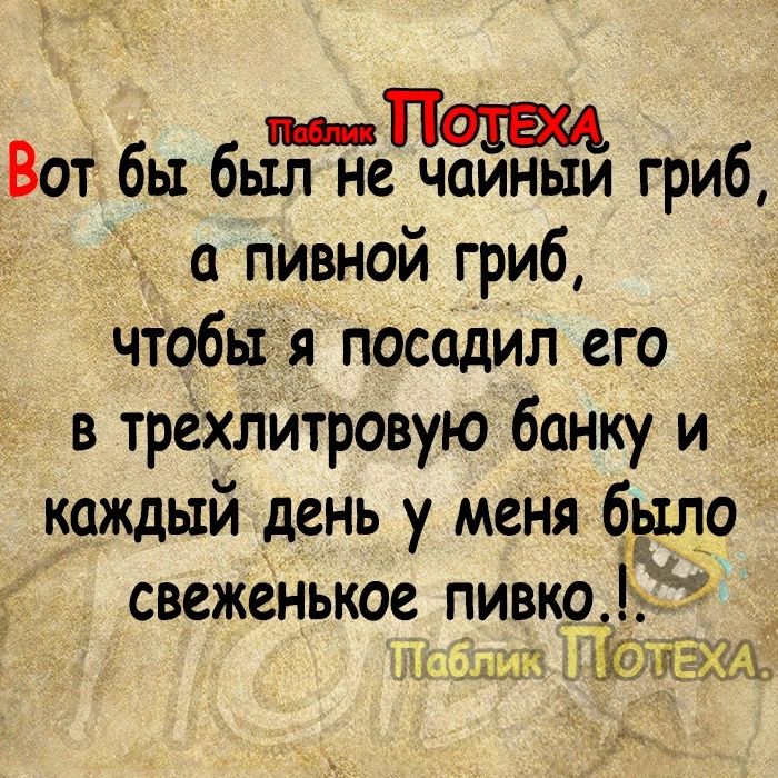 Вот бы бытдоиныи гриб пивной гриб чтобы я Посадил его в трехлитровую банку и каждый день у меня бо свеженькое пивко кціі