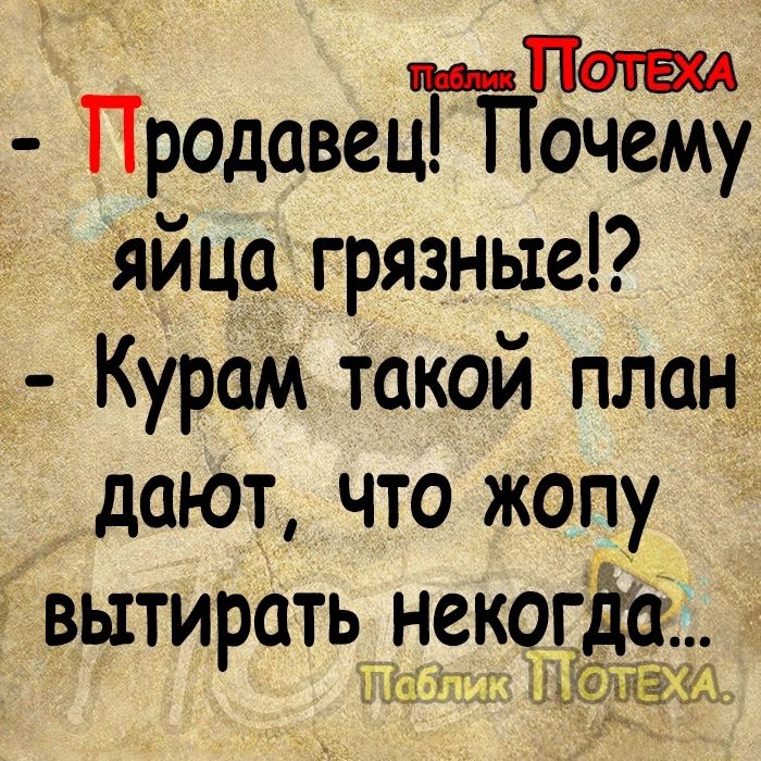 _Патш Продавец Почему яйца грязные Курам такой план дают что жопу вытирать некогітёИ ди