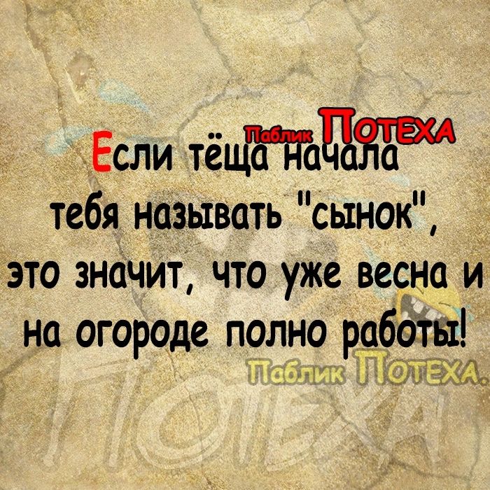 Если тё тебя называть сынок это значит что уже весна и на огороде полно работ _ мгжщ