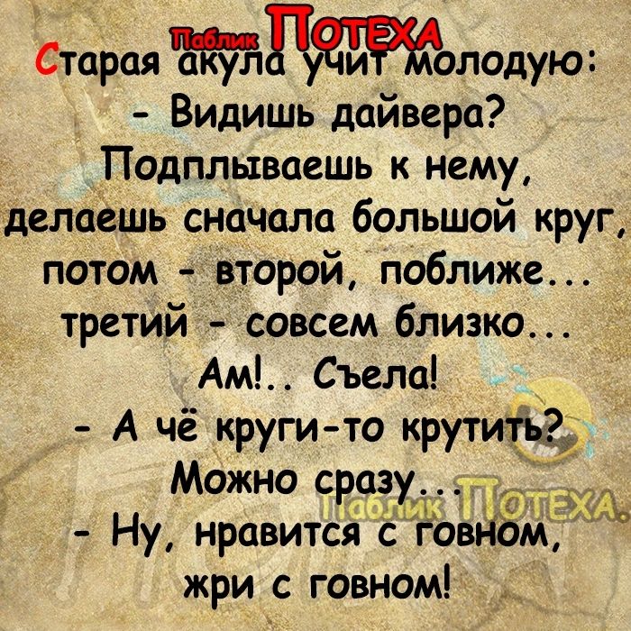 Ьтарая олодую Видишь дайвера Подплываешь к нему делаёшь сначала большой круг потОм второй поближе третілй совсем близко Ам Съела А чё круги то крутите Можно сра_зу _ Ну нравится с Ёовддмк жри с говном