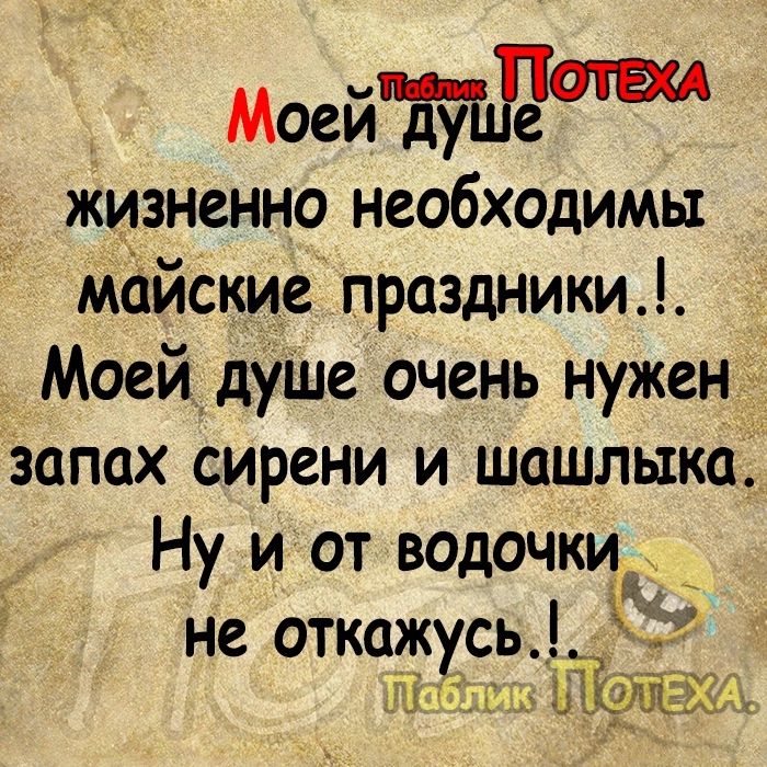 Моей ду Ч Жизненно необходимы майские праздники Моей душе очень нужен запах сирени и шашлыка Ну и от водочки не откажусь Ё ли