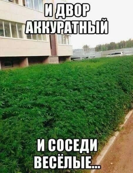 исцсвди ввснпывгд