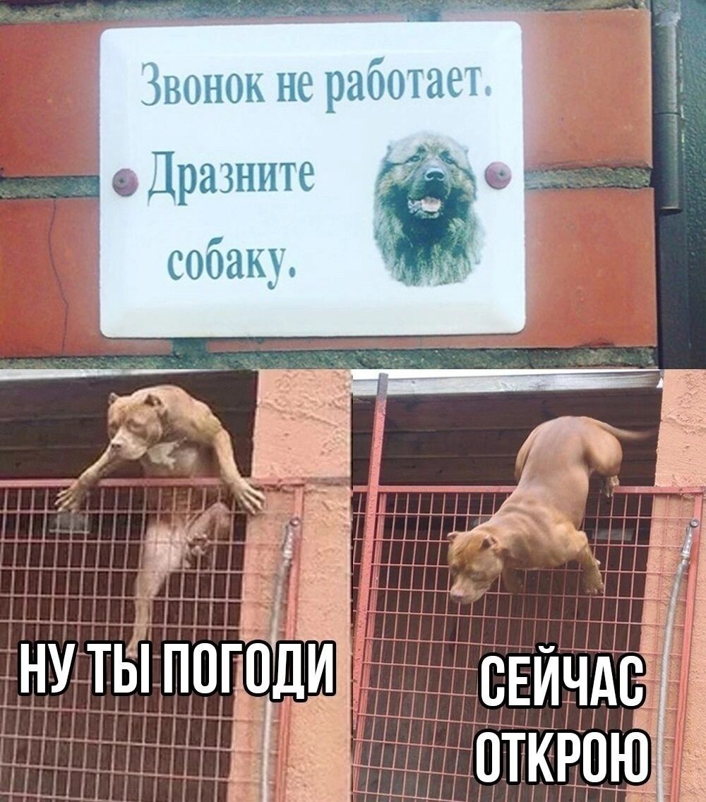 іі ЕЁЗ _ ну ты погапдТПд сничдц _ открою