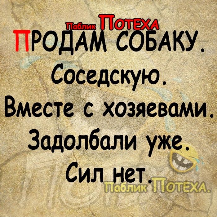 йРОДТШЁЗЁАКУ Соседскую Вместе с хозяевами Задолбали уже 0 Сил нет