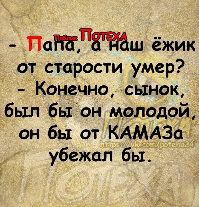 Пат 36 ёжик от старости умер Конечно сынок был быон молодой он бы от КАМАЗа убежал бы