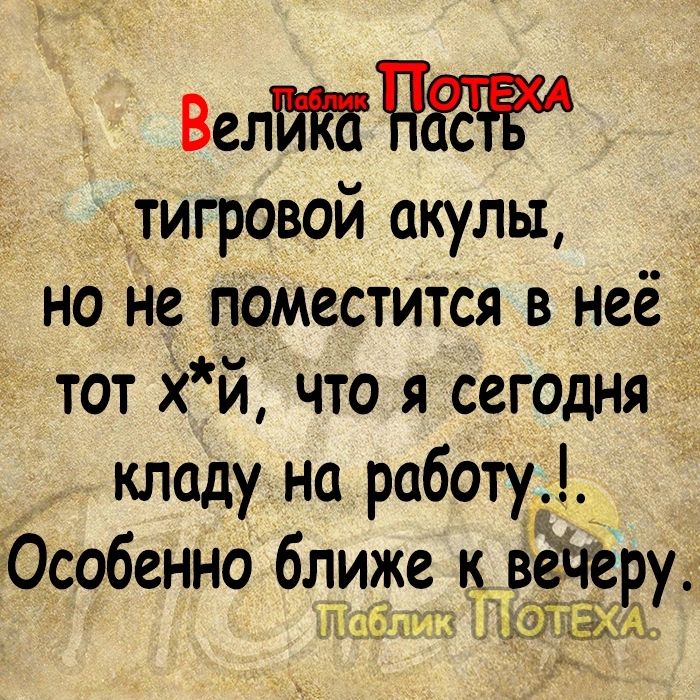 Велп тигровой акулы но не поместится в неё тот хй что я сегодня кладу на работу Особенно ближе к Вёчеру 1 Ё т ЪТЁст