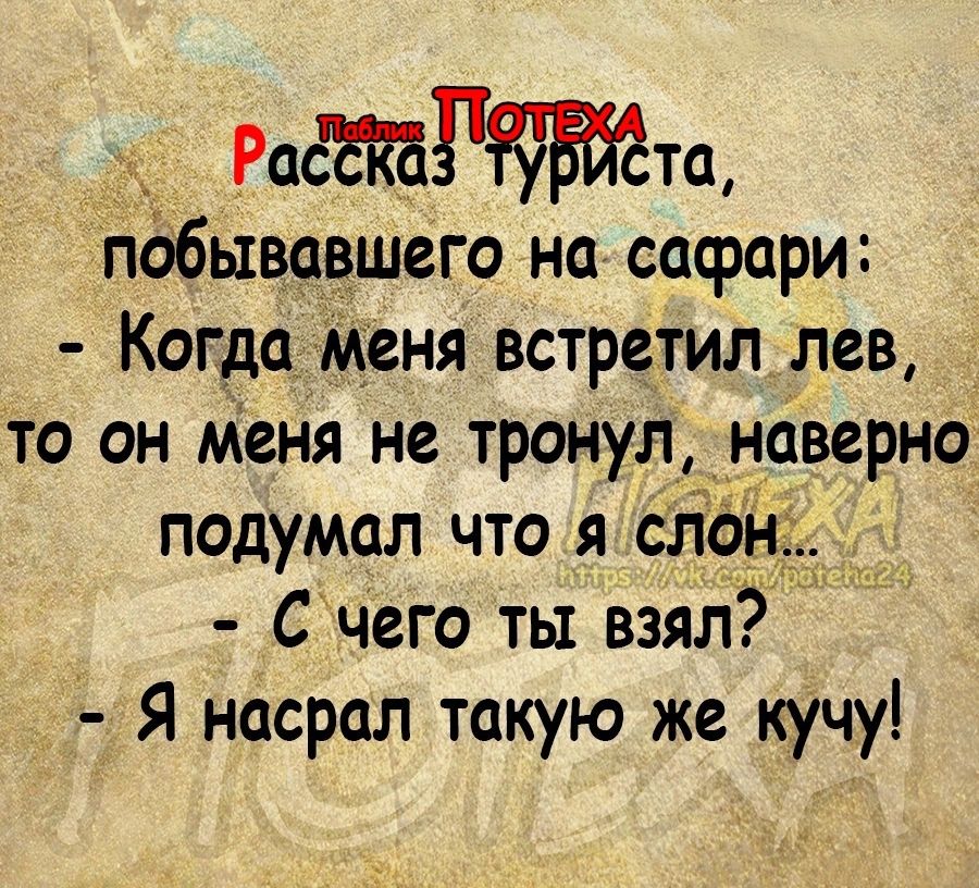 Раёгтщ побывавШего на сафари Когда Меня встретил лев то он Меня не тронул_нсіверно подумал что я сл Счего ты взял Я насрал такую же кучу