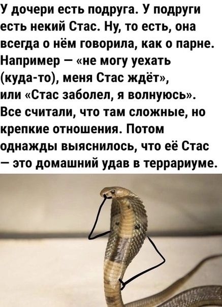 У дочери есть подруга У подруги есть некий Стас Ну то есть она всегда о нём говорила как о парне Например не могу уехать куда то меня Стас ждёт или Стас заболел я волнуюсь Все считали что там сложные но крепкие отношения Потом однажды выяснилось что её Стас это домашний удав в террариуме