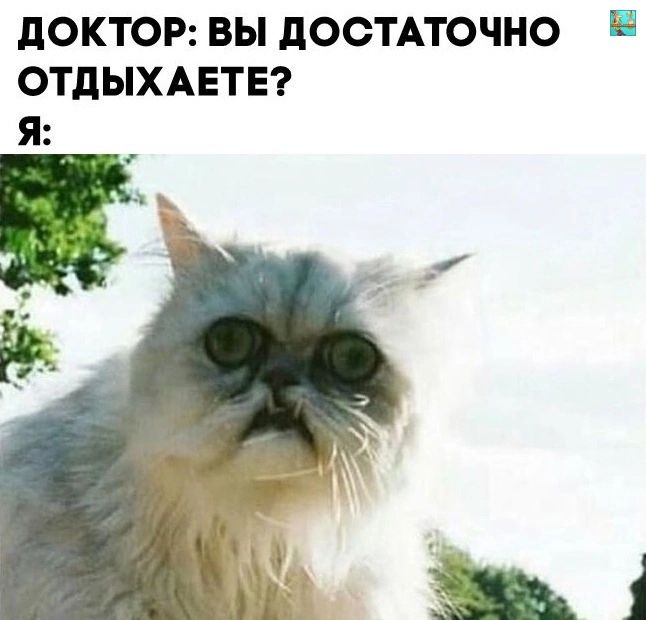 дОКТОР ВЫ дОСТАТОЧНО ОТдЫХАЕТЕ Я