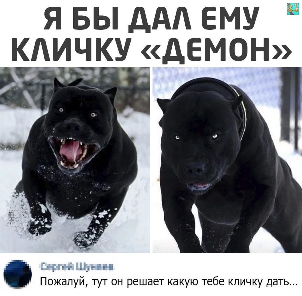 Я БЫ АА ЕМУ КАИЧКУ 5дЕМОН П