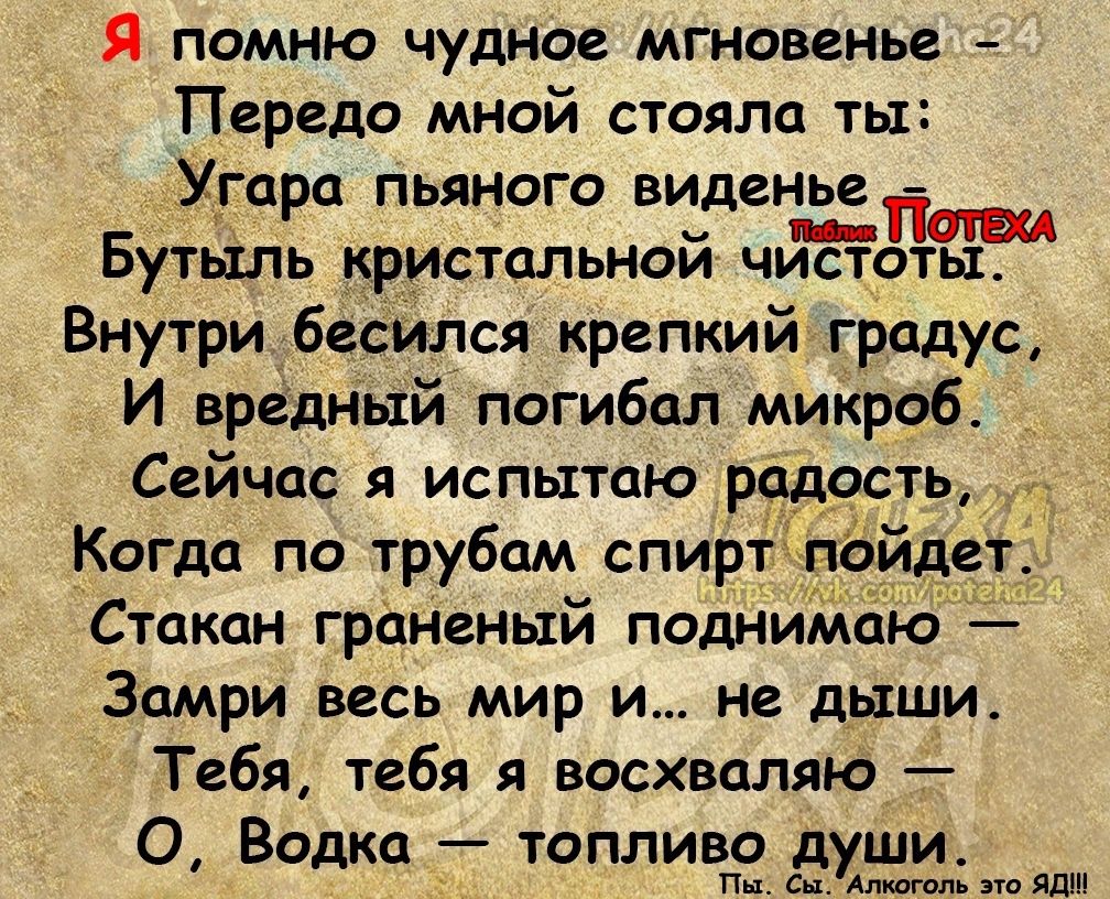 Я помню чудное мгновенье Передо мной стояла ты Угара пьяного виденье Бутыль кристальнои чистоты Внутри бесился крепкий градус И вредный погибал микроб Сейчас я испытаю радость Когда по трубам спир Стакан граненый подни Замри весь мир и не дыши Тебя тебя я восхваляю О Водка топливо души п а м ддт